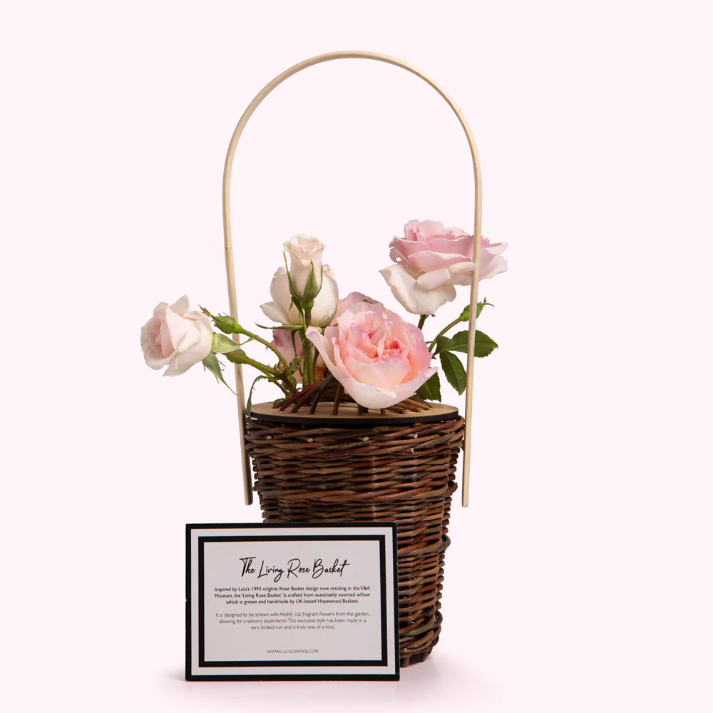 THE LIVING ROSE BASKET - Image 2